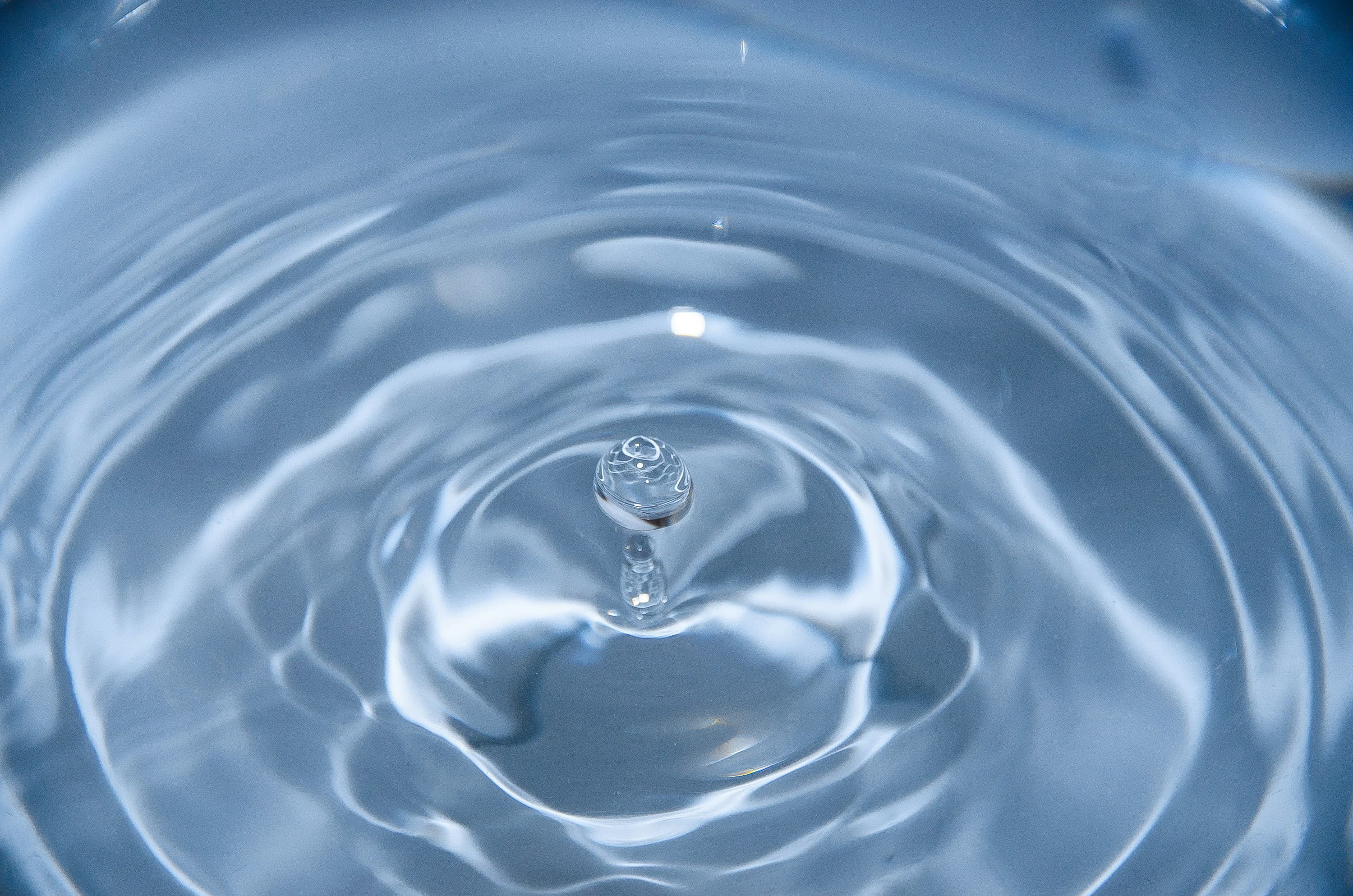 Ingredients Banner 1