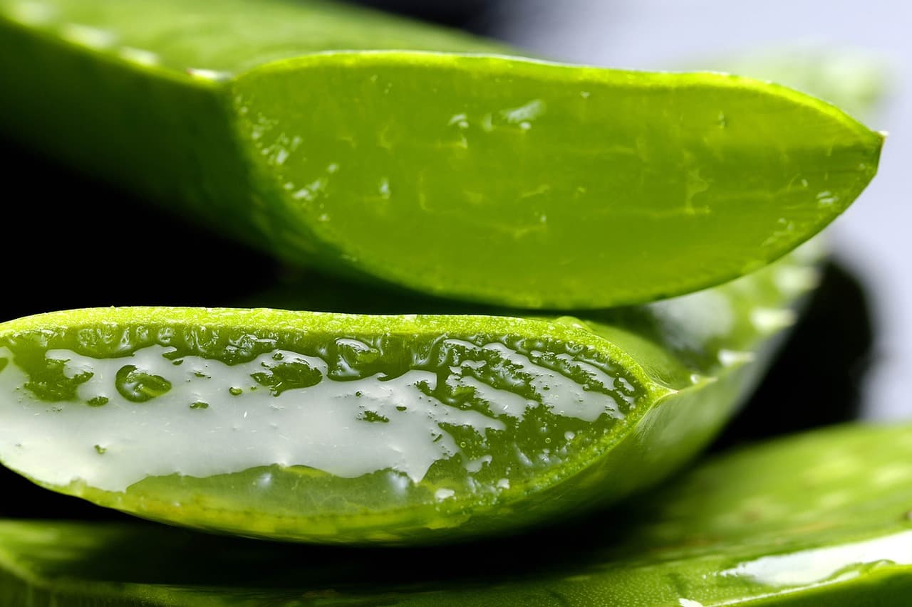 Ingredients Banner 4