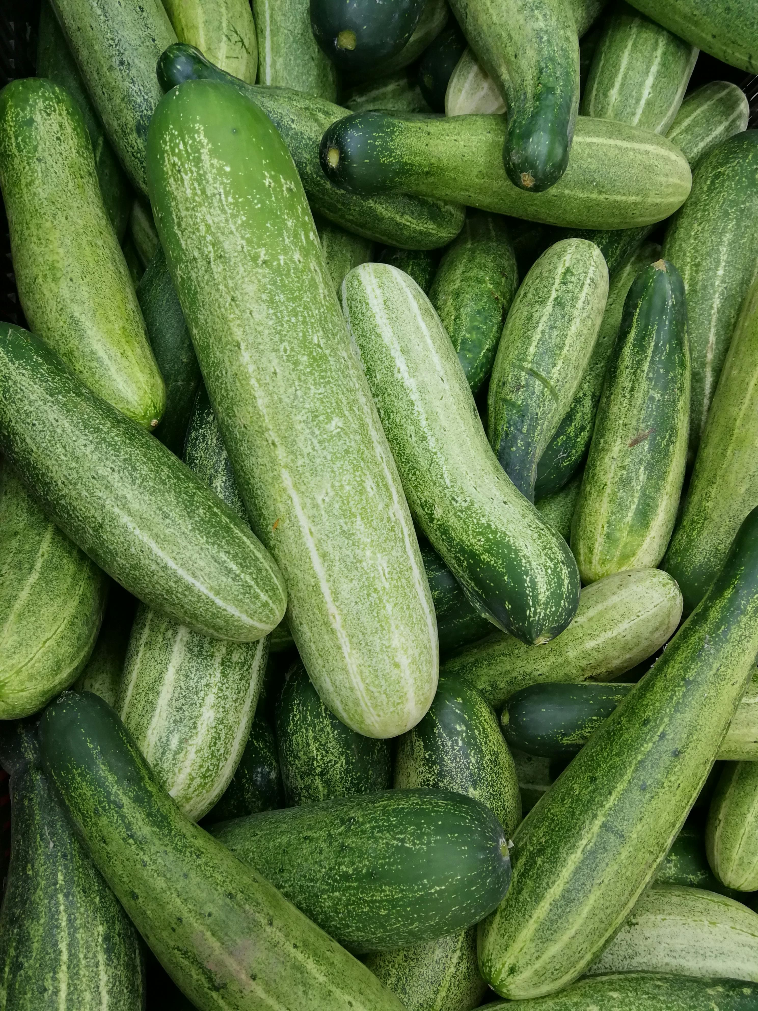 Ingredients Banner 5